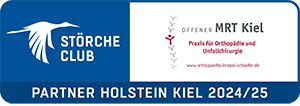 Störche Club Logo Holstein Kiel